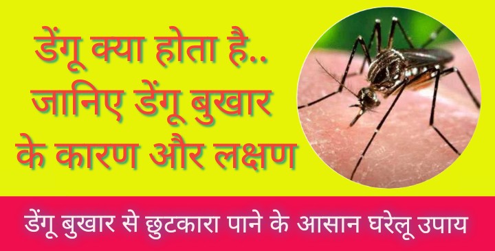 Dengue Fever In Hindi