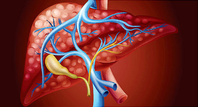 Hepatitis in Hindi